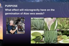 iLEAD-DreamUp-Aloe-Vera-Presentation.3