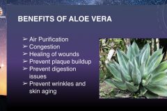 iLEAD-DreamUp-Aloe-Vera-Presentation.4