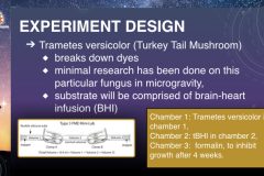 DreamUp-Launch-Team-Myco-Materials-Presentation.6