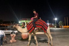 iSAP_Israel_Feb2019_Selects_SMALL-86