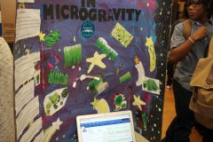ExperimentDisplay_2